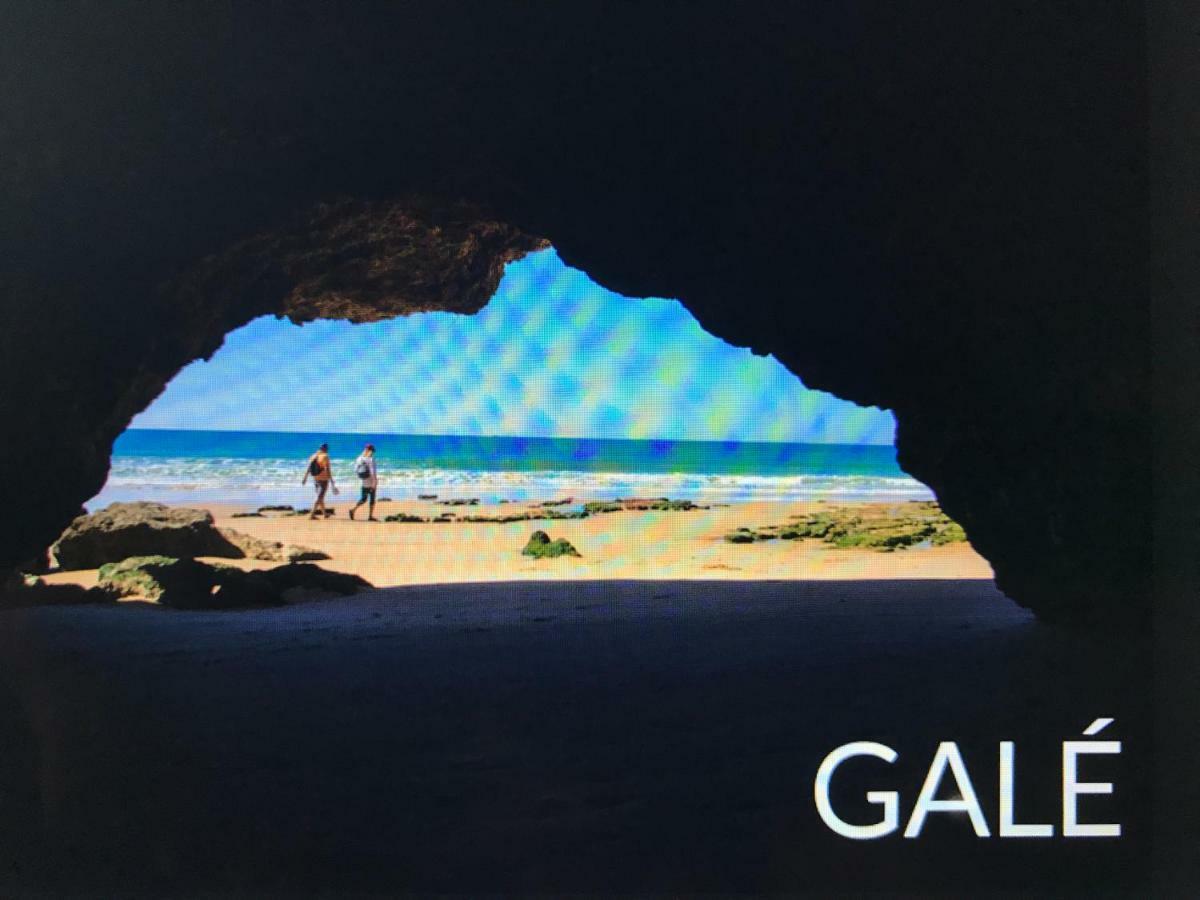 Palmeira Gale 阿尔布费拉 外观 照片